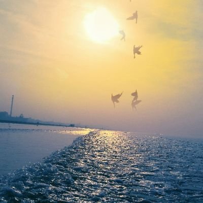 RafayKh23's profile picture. Life is beautiful