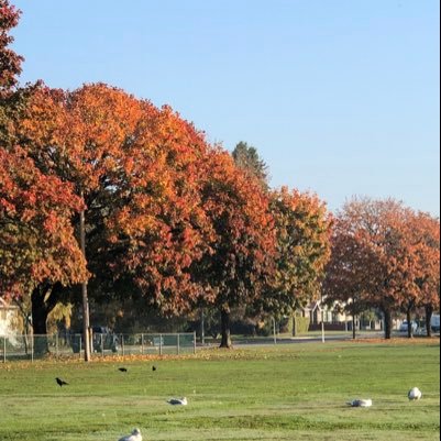 mariabon210's profile picture. loves baking and cake master!