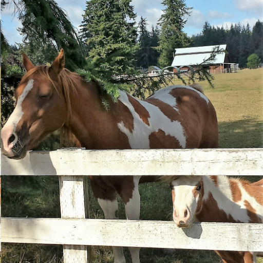 NancyYadrick's profile picture. 