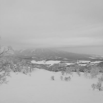 旅行好き、関西人、基本暇人