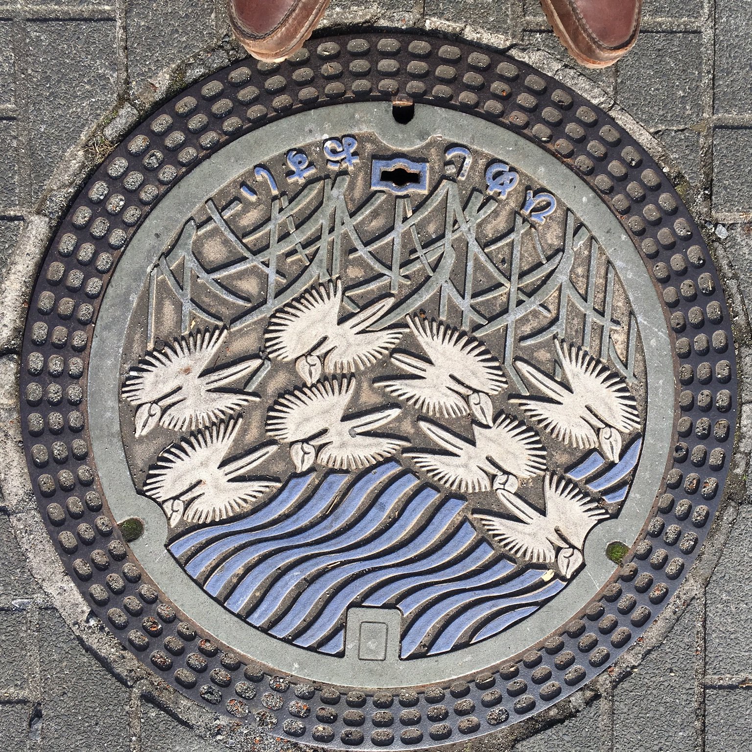 Dezai161's profile picture. 😎