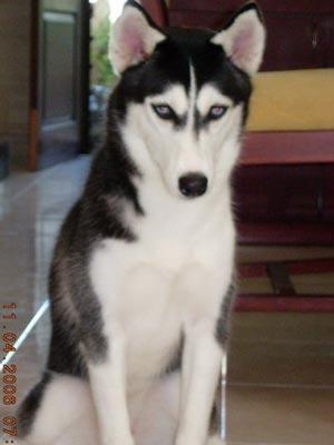 e_rachmawati's profile picture. 