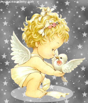 ppdnshm's profile picture. 