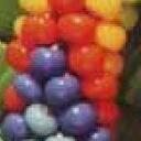 Vilma Sierra - @Beads504 - Twitter