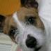 コロ200610 (@koro200610) Twitter profile photo