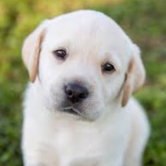 Bernard02199537's profile picture. 