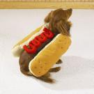 To learn more things about dog! http://t.co/BvnAs6jL3Y