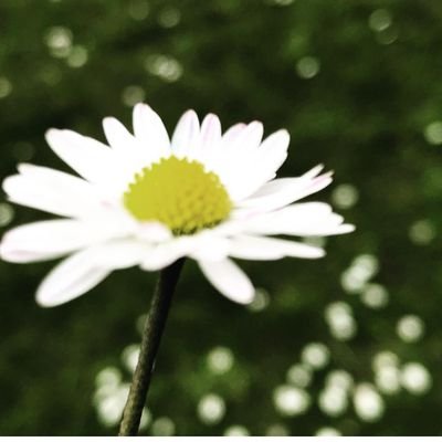 Bee8953's profile picture. 