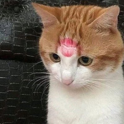 Dianaeunos's profile picture. 