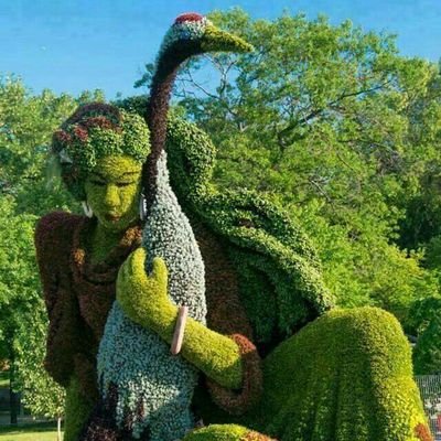 vivas_p's profile picture. 