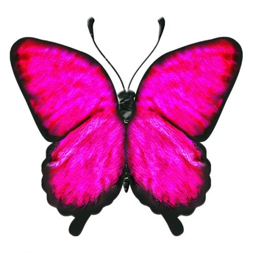 2010年6月に女の子を出産。新米ママ只今絶賛育児中。