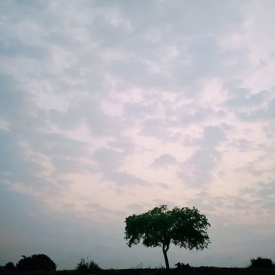 nihalHuzz's profile picture. 