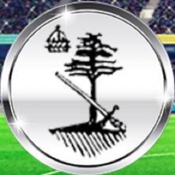 Official Account Styal Football Club 1912 💛💙Cheshire Football League 💛💙