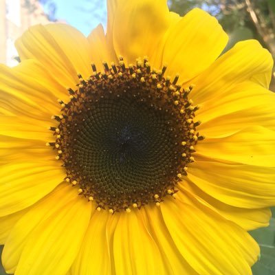 Tomashevski's profile picture. Private