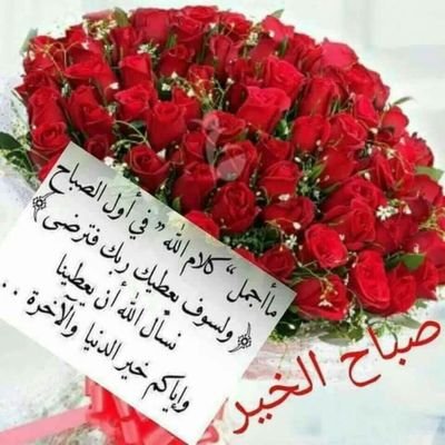 aKBRc53bYqZu7mN's profile picture. 