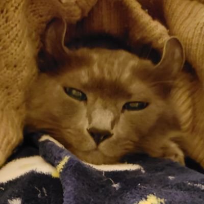 tombb99's profile picture. 