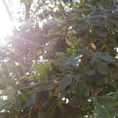 Milky_k29's profile picture. 