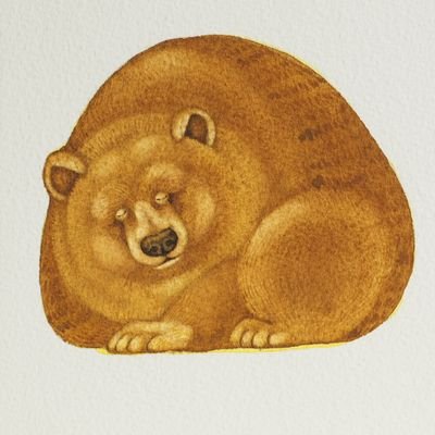 モリカナコさんのプロフィール画像