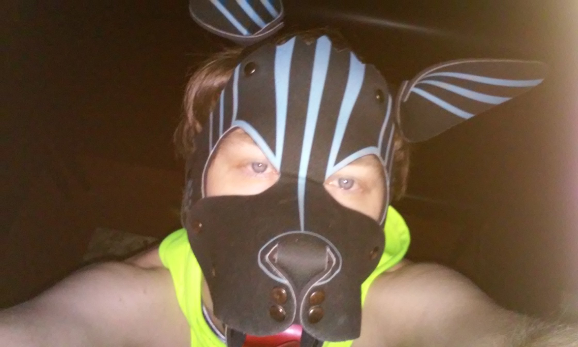 Wuff.
NSFW 18+!!! Pup, Leather, Rubber, Sport and kinky stuff