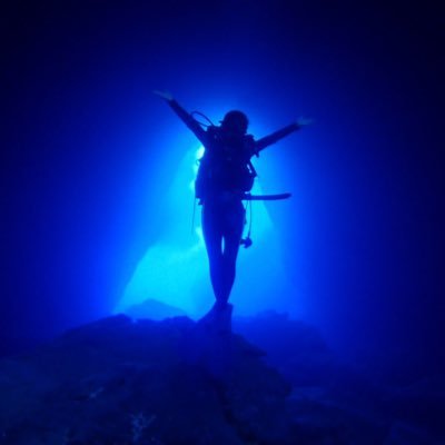 morimai98's profile picture. 