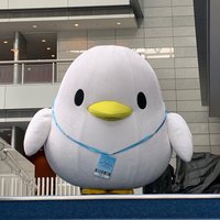 梟(ふくろう) (@fukurou322) 's Twitter Profile Photo 梟(ふくろう) (@fukurou322) 's Twitter Profile Photo