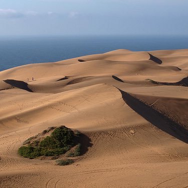 transpa75604280's profile picture. La verdad siempre por Delante