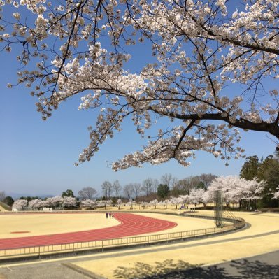 ぴろみさんのプロフィール画像