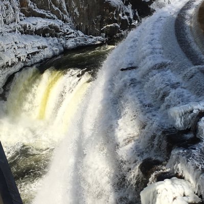 TheSpillingFilm's profile picture. Now airing on ShortsTV see pinned tweet for next airing