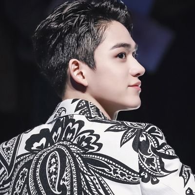 (parody) a guy with warmfull heart who will makes your heart jump when you see him, he's called wong yukhei from nct and wayv. bro? jefka, kimgyu.