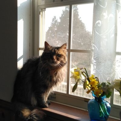 ibapT6IZaXeRikj's profile picture. 