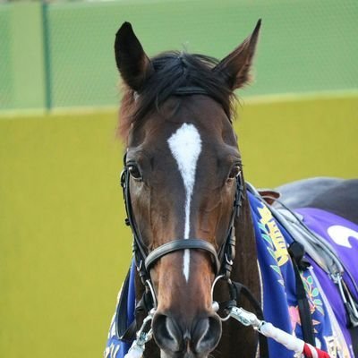 競馬と魚釣りが、趣味です。野球は、ドラゴンズ❗️プロレスに興味あります。🙂