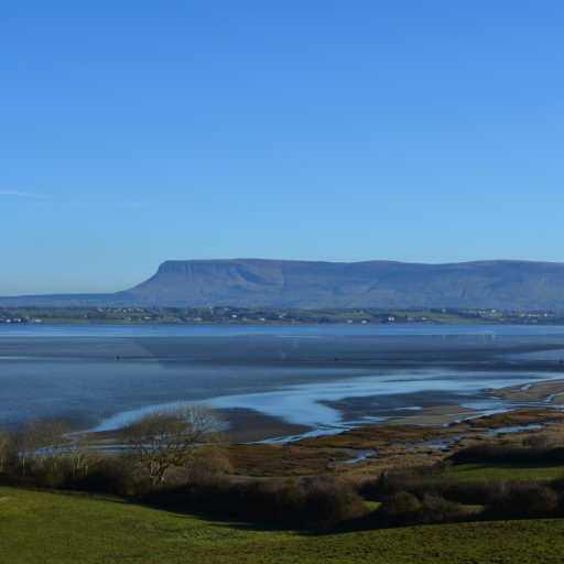 choosesligo Profile