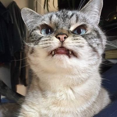 NPndSk's profile picture.