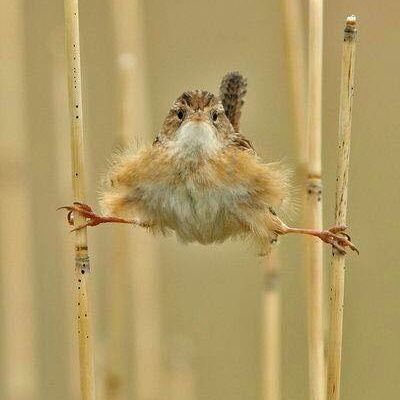 morfeo105's profile picture. 