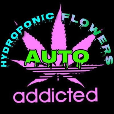 #Growers, #activists #Youtubers
#DWC #Hydroponic #growWeed   #iamCannabis #Youtube #CannabisChannel #Follow4Follow  #support #Everyone