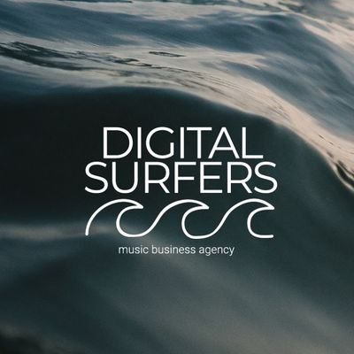 Digital Surfers Agency