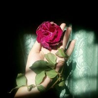 Yeimi 🌹🌹🌹 (@yeibarrios97) 's Twitter Profile