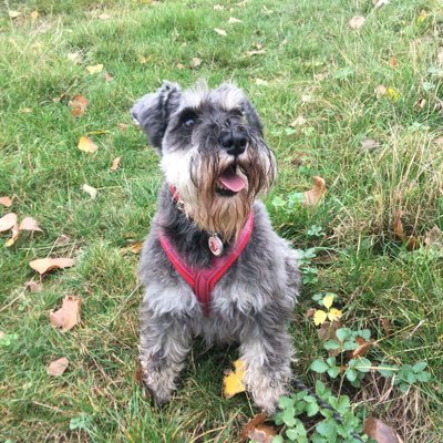 PippaLMurphy's profile picture. 