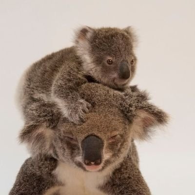 loveallletters's profile picture. 