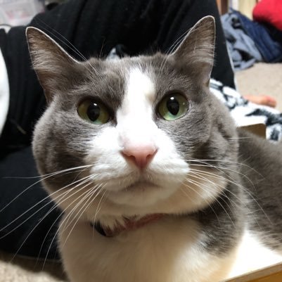 C10VsgPCTfESYUD's profile picture. 介護職を楽しみ、芝居を楽しみ、愛しい存在といっしょに過ごす時間を楽しんでます(^^)