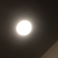 paper23 (@paper232) 's Twitter Profile