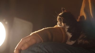 3cm_shibari's profile picture. 