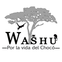 Proyecto Washu(@proyectowashu) 's Twitter Profileg