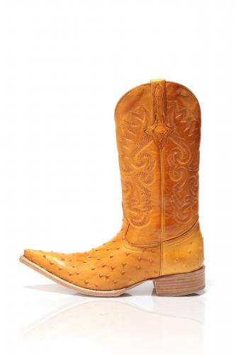 Reservoir_Boots's profile picture. funkiest boots ever!! cash, gold, diamonds accepted :-) .. visit http://t.co/V6yKpytAYv ..get friendly http://t.co/7zhHGYNkSe