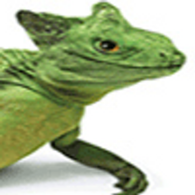 lounge lizard doesnt load in 64 bit fl studio lounge lizard doesnt load in 64 bit fl studio