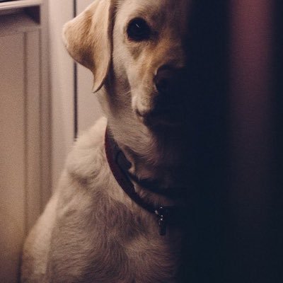 Surachaicap's profile picture. 