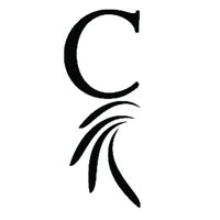 Chief Financial CU (@chieffinancial) 's Twitter Profile