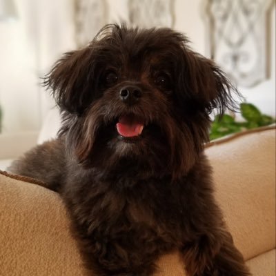 vickie_j's profile picture. 