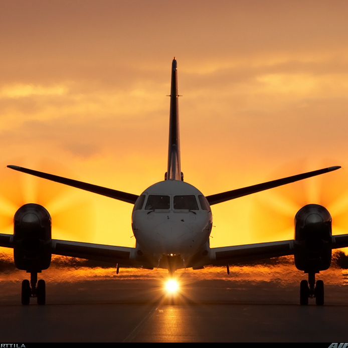 pedroga91817424's profile picture. 