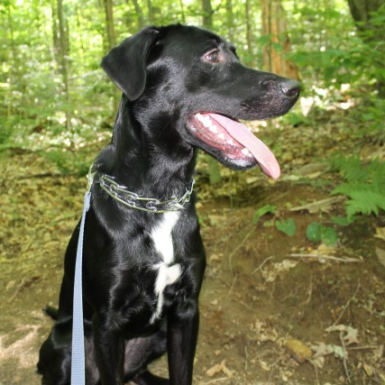 rebubula32's profile picture. 